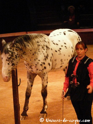 Nord: Cirque Educatif du Douaisis à Sin-le-Noble du 08 février au 03 mars 2011