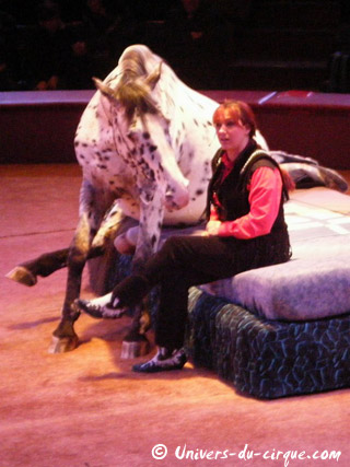 Nord: Cirque Educatif du Douaisis à Sin-le-Noble du 08 février au 03 mars 2011