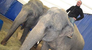 Vienne: j'ai testé l'éléphant du Cirque Claudio Zavatta à Chatellerault