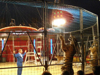 Allemagne: début de la tournée 2011 du Zirkus Probst à Leipzig le 04 mars prochain