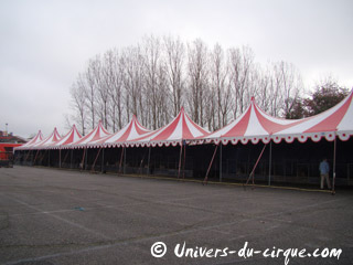 Lot-et-Garonne: le Cirque Amar à Agen en images
