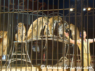 Pas-de-Calais: le Cirque de Lydia Zavatta à Boulogne jusqu'au 23 février 2011