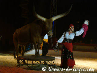 Pas-de-Calais: le Cirque de Lydia Zavatta à Boulogne jusqu'au 23 février 2011