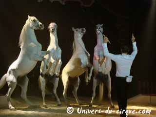 Pas-de-Calais: le Cirque de Lydia Zavatta à Boulogne jusqu'au 23 février 2011
