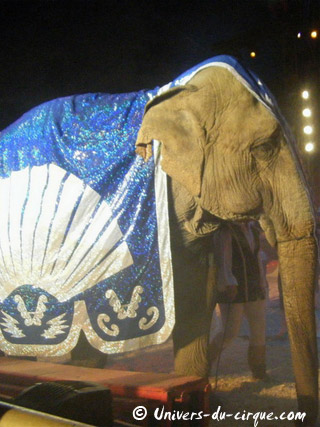 Italie: l'American Circus Togni à La Spezia jusqu'au 27 février 2011