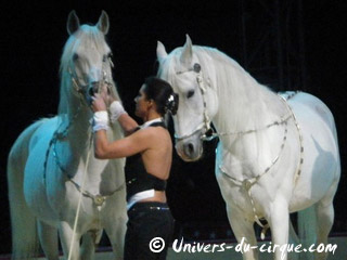 Italie: l'American Circus Togni à La Spezia jusqu'au 27 février 2011