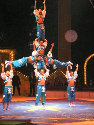 Yvelines: les artistes du 10 Festival du Cirque des Mureaux en images