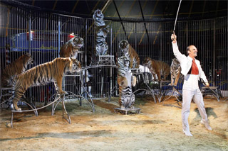 Yvelines: les artistes du 10 Festival du Cirque des Mureaux en images