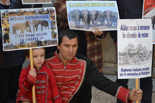 Maroc: le consulat français promet d'aider les 4 éléphants bloqués à Casablanca