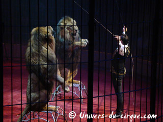 Calvados: Tom Dieck au programme du 4° Festival International du Cirque de Bayeux