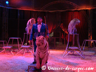 Deux entrées de cage sous le chapiteau du Cirque Zavatta Fils