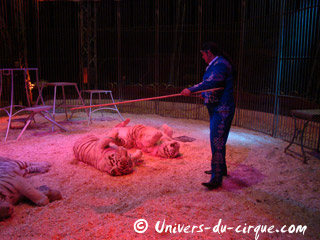 Deux entrées de cage sous le chapiteau du Cirque Zavatta Fils