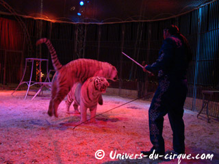 Deux entrées de cage sous le chapiteau du Cirque Zavatta Fils