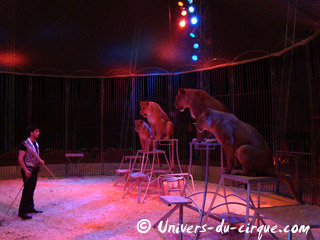 Deux entrées de cage sous le chapiteau du Cirque Zavatta Fils