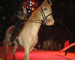 Côte-d'Or: la féerie des Indes avec le Cirque Zavatta Fils à Quetigny