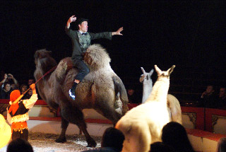 Joanès sur la piste du Cirque Lydia Zavatta en images