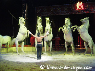Italie: fin de la tournée hivernale 2010-2011 de l'American Circus Togni