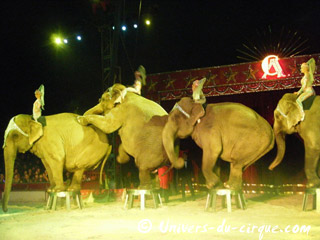 Italie: fin de la tournée hivernale 2010-2011 de l'American Circus Togni