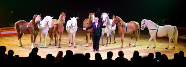 Calvados: Sacha Houcke au programme du 4° Festival International du Cirque de Bayeux