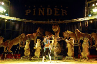 Bouches-du-Rhône: le spectacle 2011 du Cirque Pinder en images
