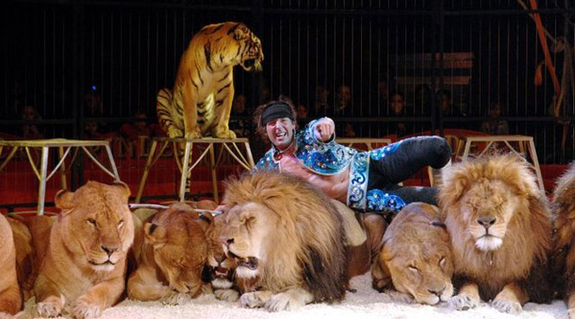 Bouches-du-Rhône: le spectacle 2011 du Cirque Pinder en images