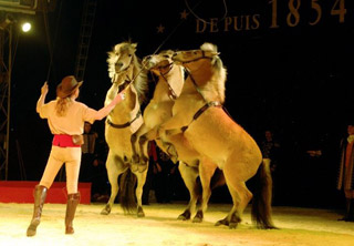 Bouches-du-Rhône: le spectacle 2011 du Cirque Pinder en images