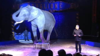 Belgique: y aura-t-il encore du cirque à Charleroi?