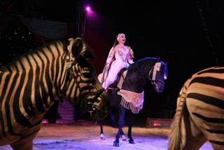 Allemagne: début de la tournée 2011 du Circus Krone à Münich le 07 avril prochain