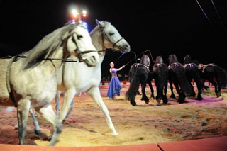 Allemagne: début de la tournée 2011 du Circus Krone à Münich le 07 avril prochain