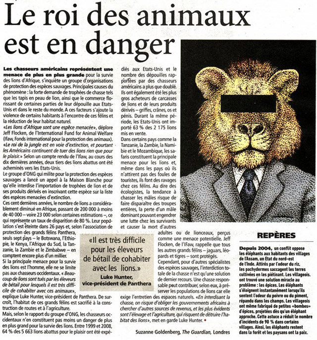 Revue de presse: le lion menacé de disparition dans la nature