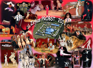 Allemagne: le nouveau spectacle 2011 du Zirkus Probst