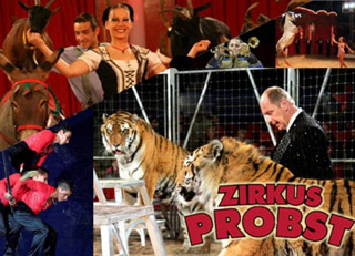 Allemagne: le nouveau spectacle 2011 du Zirkus Probst