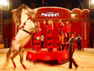 Allemagne: le nouveau spectacle 2011 du Zirkus Probst