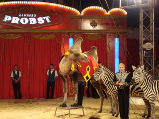 Allemagne: le nouveau spectacle 2011 du Zirkus Probst