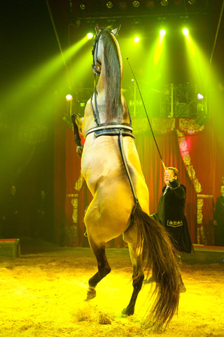 Suisse: le programme 2011 
