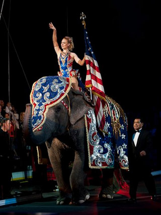 USA: les productions 2011 du Ringling Bros and Barnum & Bailey Circus