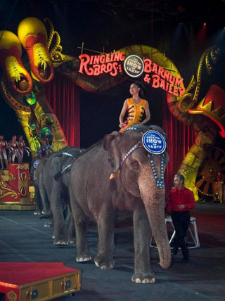 USA: les productions 2011 du Ringling Bros and Barnum & Bailey Circus