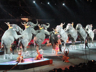 USA: les productions 2011 du Ringling Bros and Barnum & Bailey Circus
