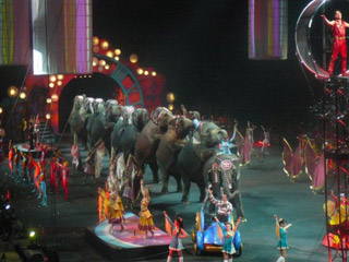 USA: les productions 2011 du Ringling Bros and Barnum & Bailey Circus