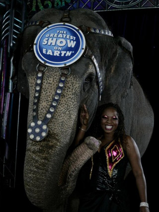 USA: les productions 2011 du Ringling Bros and Barnum & Bailey Circus