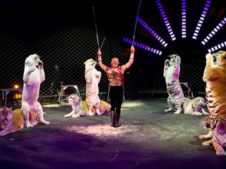 USA: les productions 2011 du Ringling Bros and Barnum & Bailey Circus