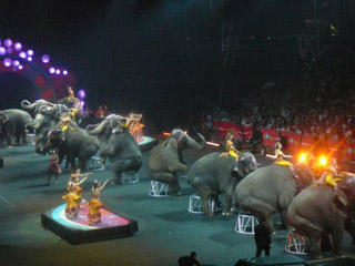 USA: les productions 2011 du Ringling Bros and Barnum & Bailey Circus