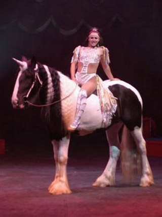 USA: le spectacle 2011 du Cirque Tarzan Zerbini