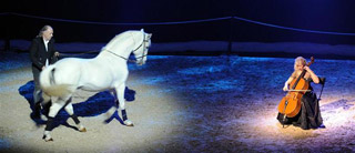 Côte-d'Or: homme, cheval et musique avec 