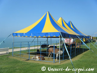 Seine-Maritime: le séjour du Cirque Sabrina Fratellini à Sainte Adresse se poursuit jusqu'au 13 avril 2011