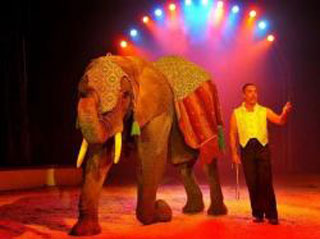 Gironde: le Cirque Maximum débarque à Andernos les 21 et 22 juillet 2011