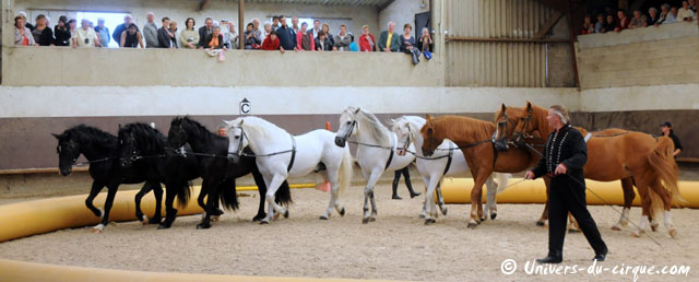 Haute-Marne: Sacha Houcke et Gaby Dew au Haras de Montier en Der