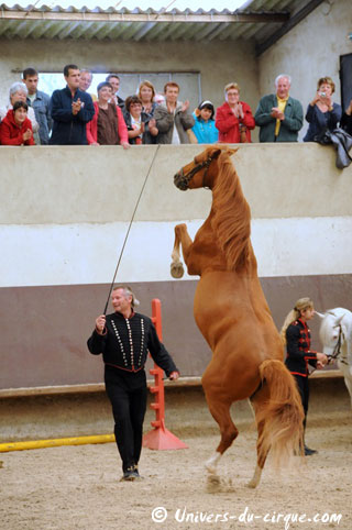 Haute-Marne: Sacha Houcke et Gaby Dew au Haras de Montier en Der