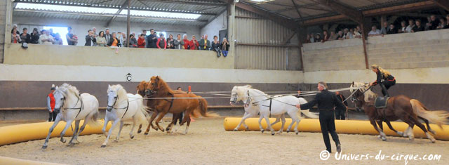 Haute-Marne: Sacha Houcke et Gaby Dew au Haras de Montier en Der
