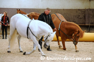 Haute-Marne: Sacha Houcke et Gaby Dew au Haras de Montier en Der